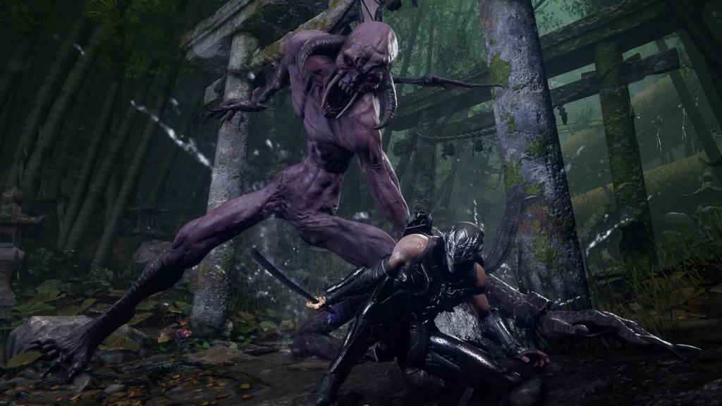 اطلاعات بیشتر Ninja Gaiden 4